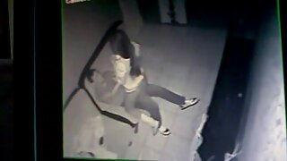 შავი მაჩოს ღილაკი სე ...
