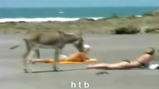 გემრიელ იაპონელ ძუკნ ...